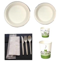 Assiette ronde blanche en pulpe 3 compartiments x 50 unités au meilleur  prix