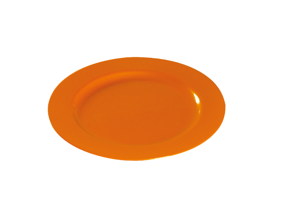 Assiette Orange-Assiette plate ronde 24 cm par 12