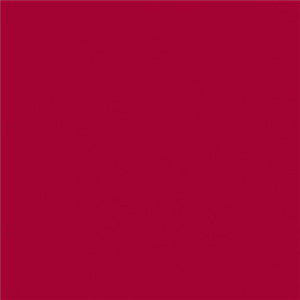 Serviette biodégradable 33x33 cm Bordeaux par 50